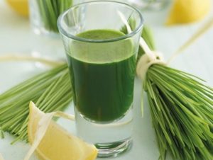 Read more about the article Superalimento…wheat grass.. Solicítelo en Unanisalud