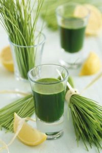 Read more about the article Superalimento…wheat grass.. Solicítelo en Unanisalud