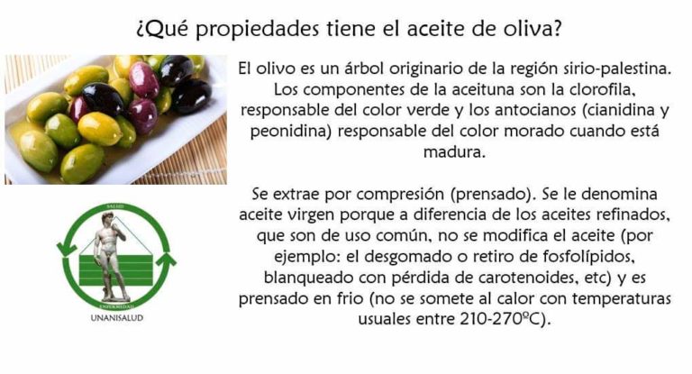 Read more about the article ¿Qué propiedades tiene el aceite de oliva?