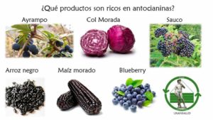 Read more about the article ¿Por qué son importantes las antocianinas en nuestra dieta?