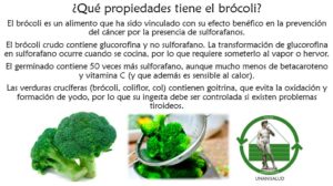Read more about the article ¿Qué propiedades tiene el brócoli?
