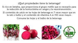 Read more about the article ¿Qué sustancias tiene la betarraga?