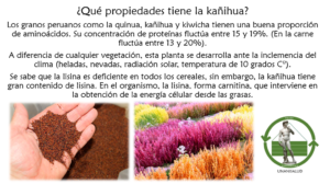 Read more about the article ¿Qué propiedades tiene la kañihua? – Febrero 20, 2017