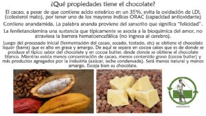Read more about the article ¿Qué propiedades tiene el chocolate?
