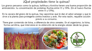 Read more about the article ¿Qué propiedades tiene la quinua? Enero 17, 2017
