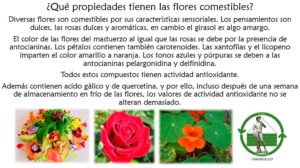 Read more about the article ¿Qué propiedades tiene las flores comestibles?