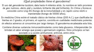 Read more about the article ¿Qué tipo de terapia complementa o es de las mejores para la depresión? – Marzo 13, 2017