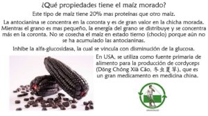 Read more about the article ¿Qué propiedades tiene el maíz morado?