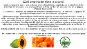 Read more about the article ¿Qué propiedades tiene la papaya? – Febrero 7, 2017