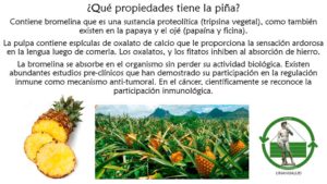 Read more about the article ¿Qué propiedades tiene la piña? – Febrero 14, 2017