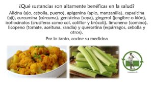 Read more about the article ¿Qué sustancias son altamente benéficas en la salud?
