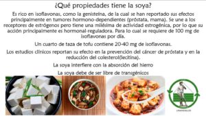 Read more about the article ¿Qué propiedades tiene la soya?
